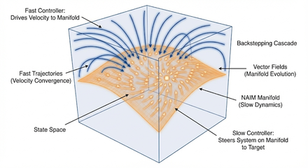 3D diagram of the NAIM manifold with fast trajectories converging onto it and slow evolution along it